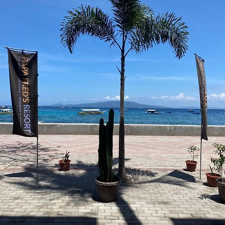 Papa Freds Beach Resort Puerto Galera Extérieur photo