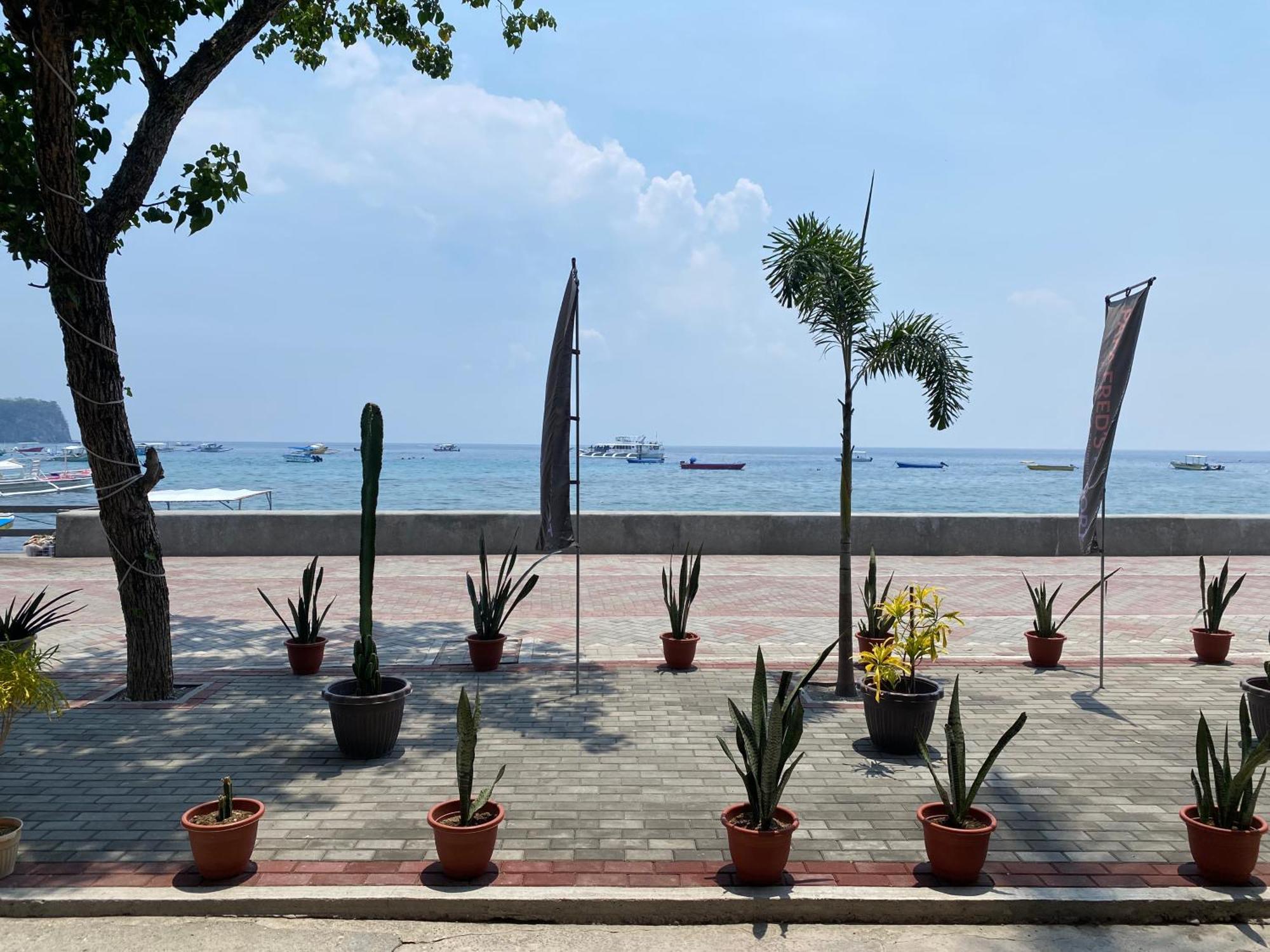 Papa Freds Beach Resort Puerto Galera Extérieur photo