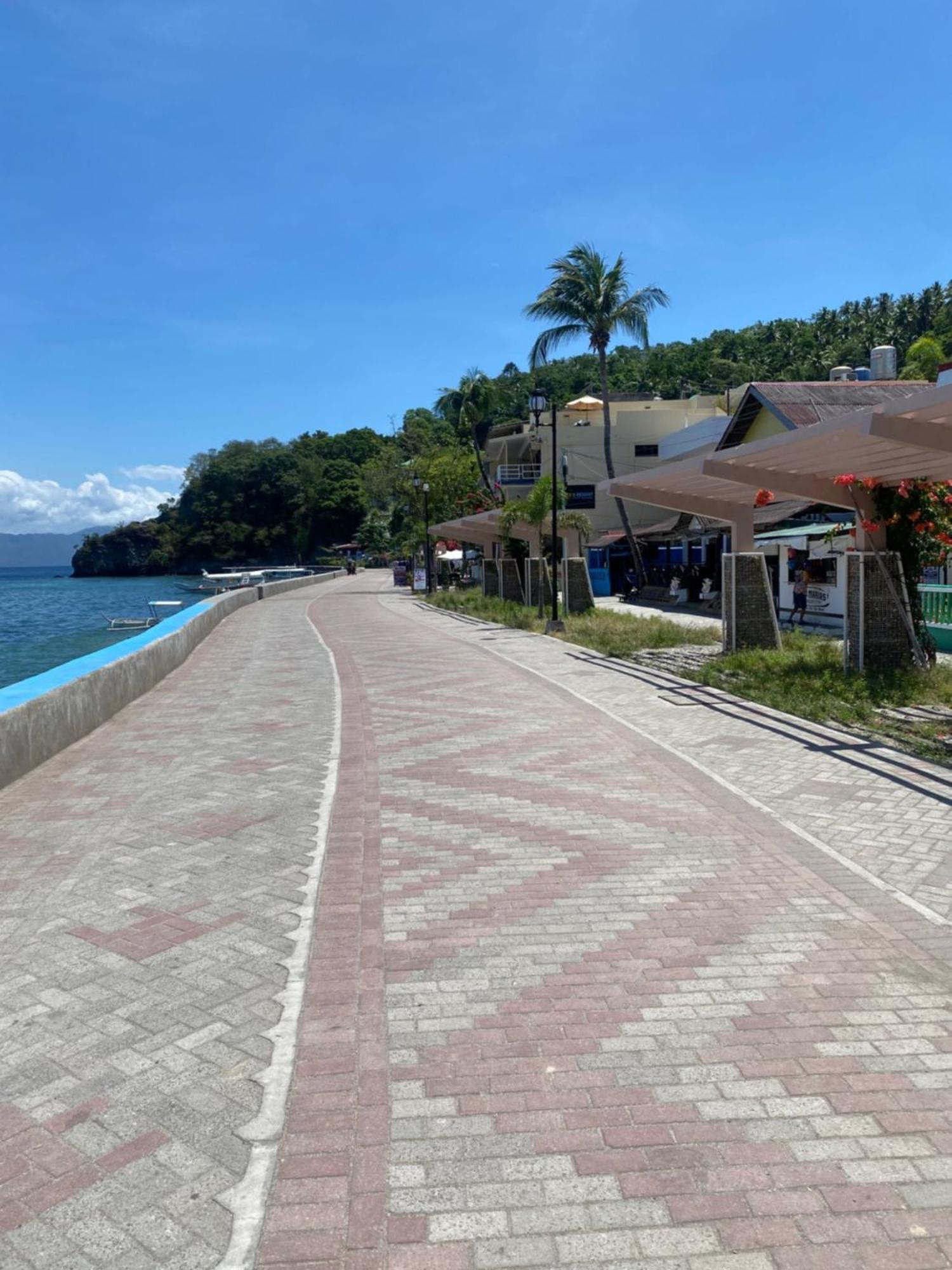 Papa Freds Beach Resort Puerto Galera Extérieur photo