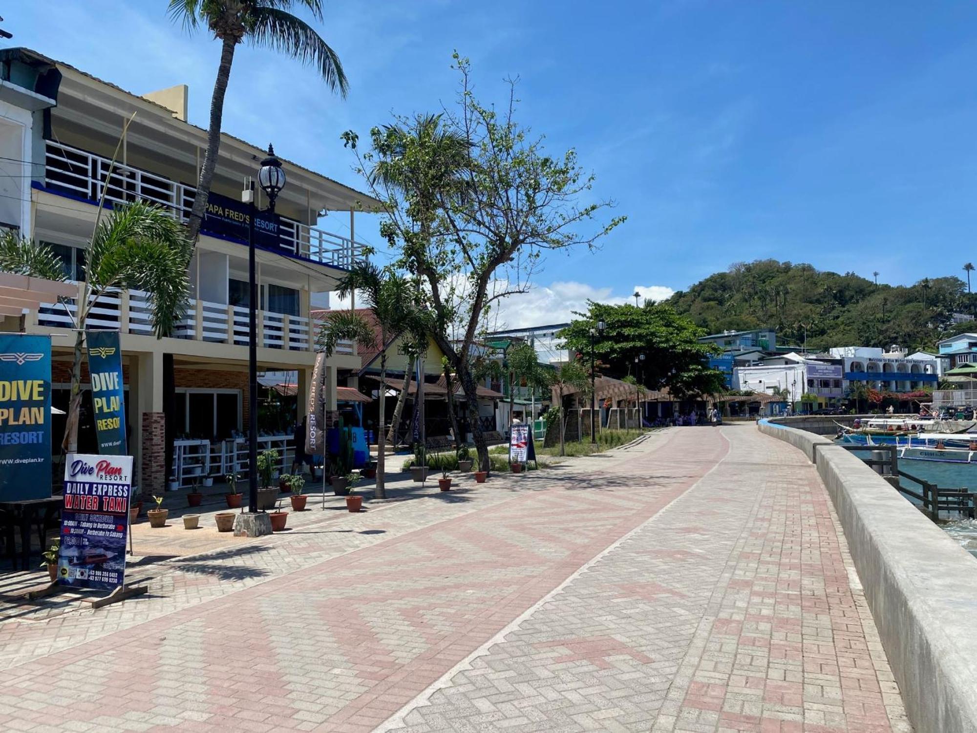 Papa Freds Beach Resort Puerto Galera Extérieur photo