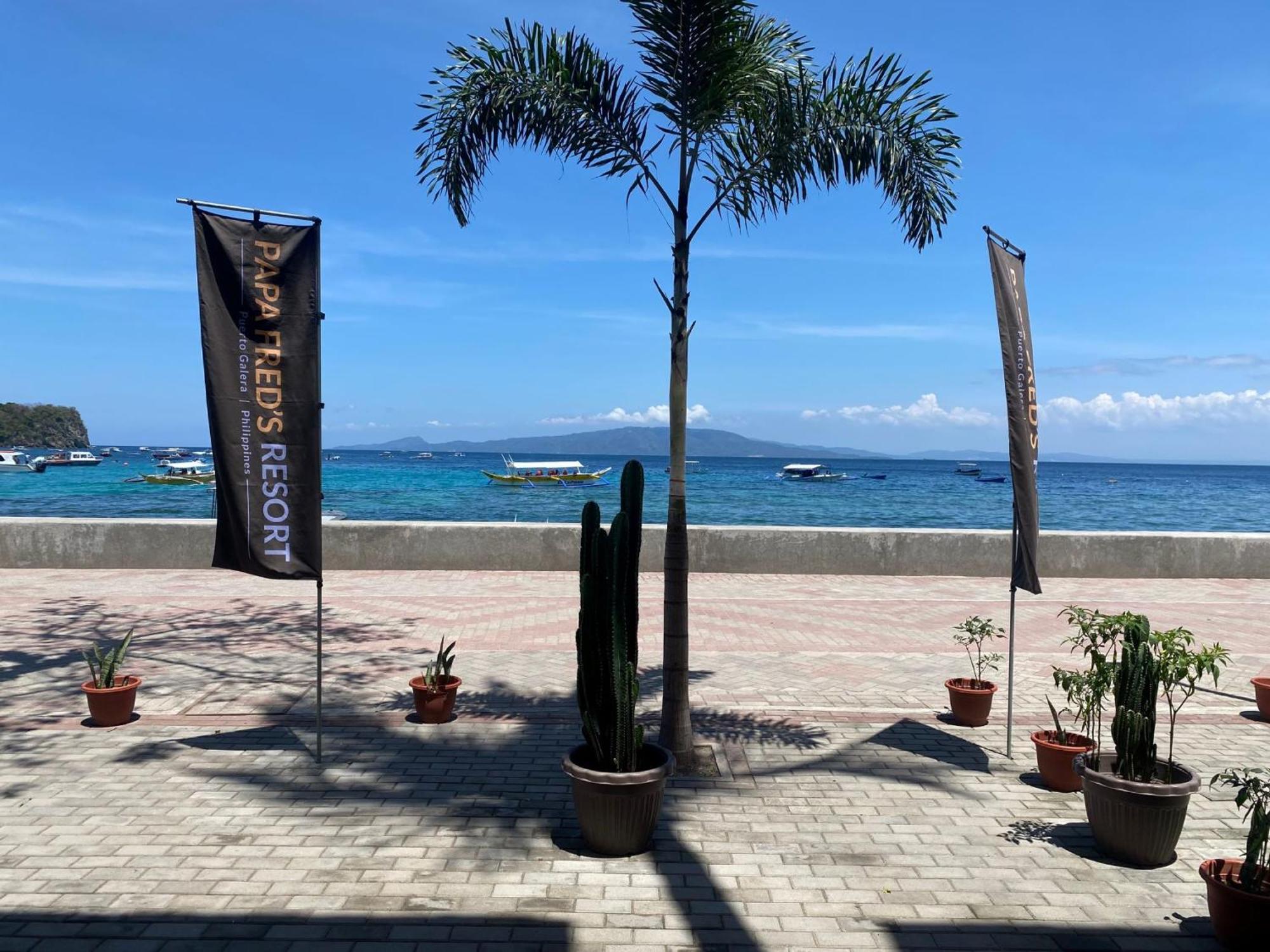 Papa Freds Beach Resort Puerto Galera Extérieur photo